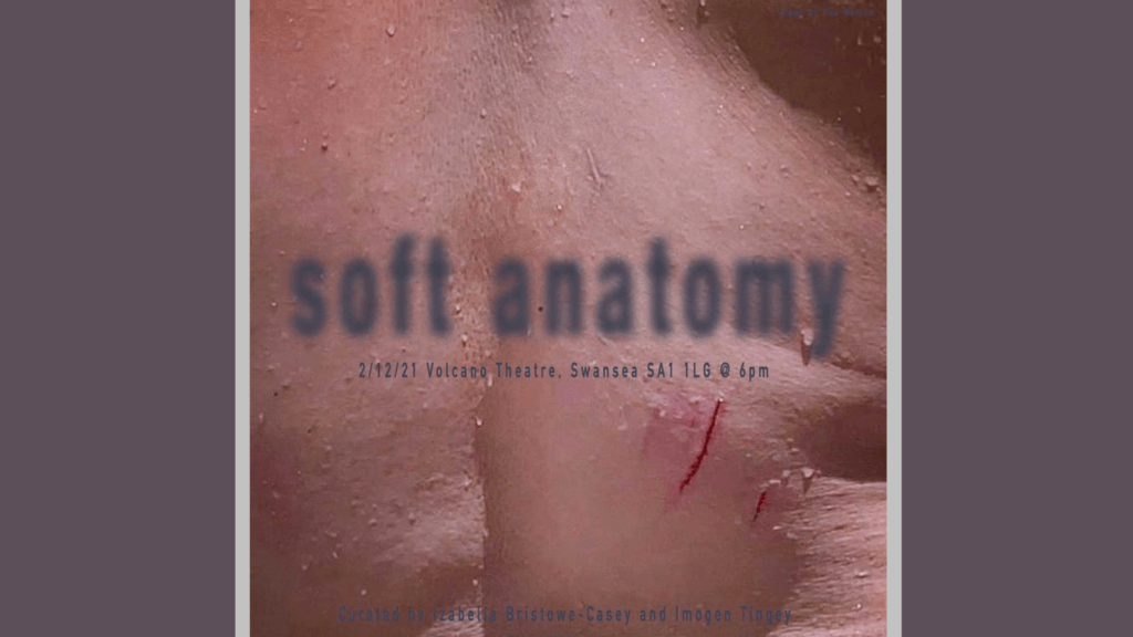 soft anatomy